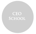 Executive Education: CEO School - CEO Seminars - Senior Management Courses in  USA. Canada. Europe. Africa. Asia. South America.